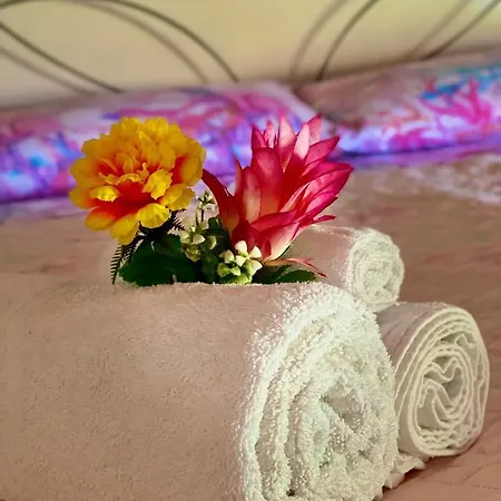La Trinacria Apartment Agrigento